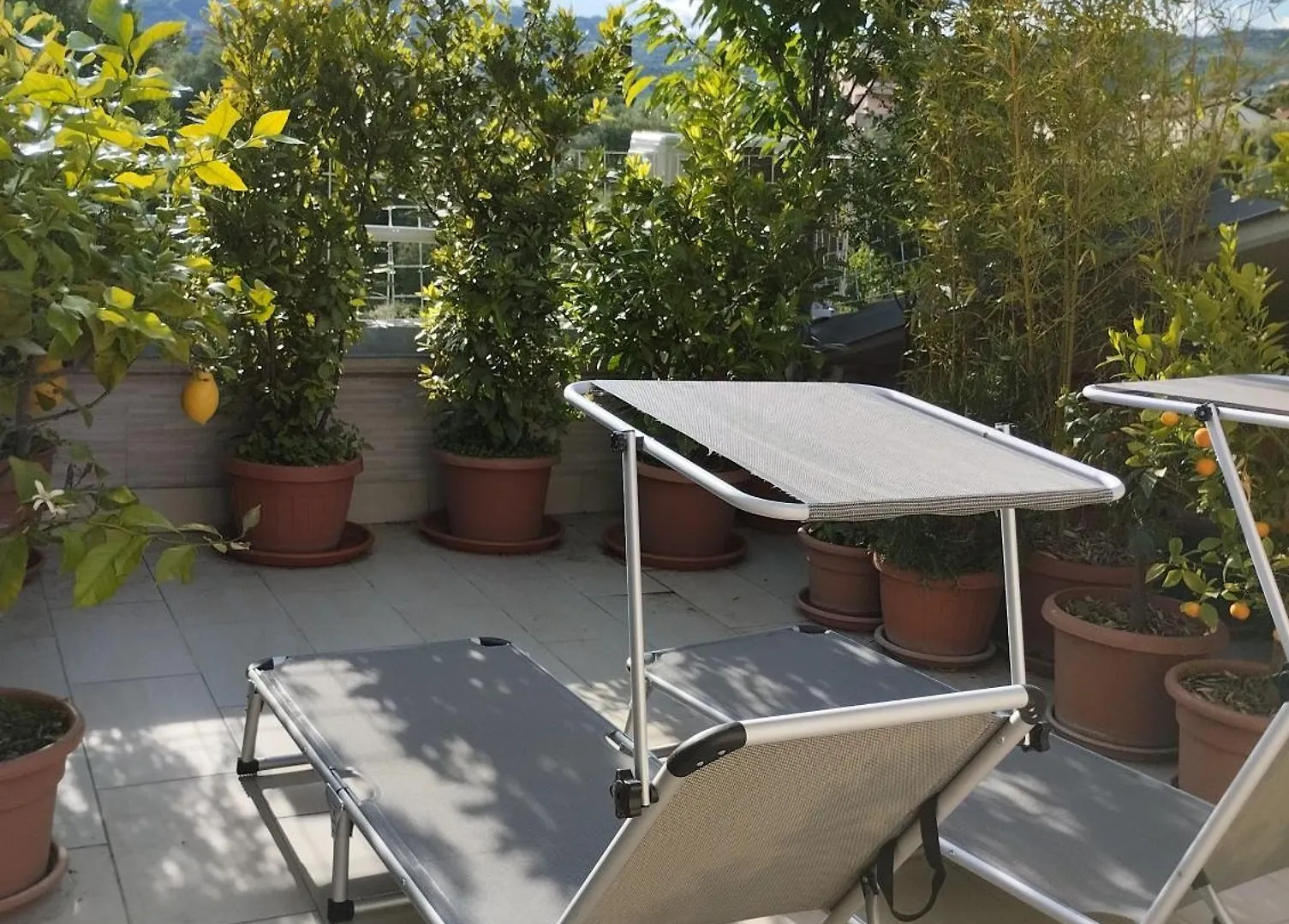 Bellini'S House Apartment Montecatini Terme Italy